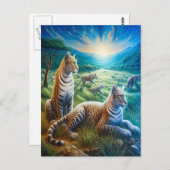 ネコ調和インメドウ ポストカード (正面/裏面)