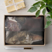 ネコ遊ストランプのポーカー 薄葉紙 (ギフト)