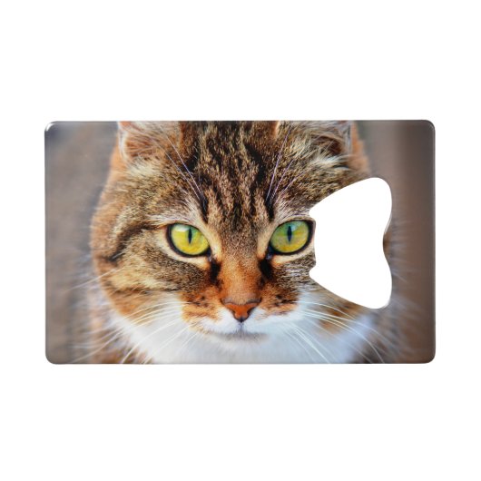 ネコ顔 クレジットカード栓抜き (裏面横)