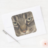 ネコ顔 スクエアシール (封筒)