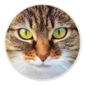 ネコ顔 セラミックノブ (正面)