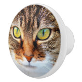 ネコ顔 セラミックノブ (右)