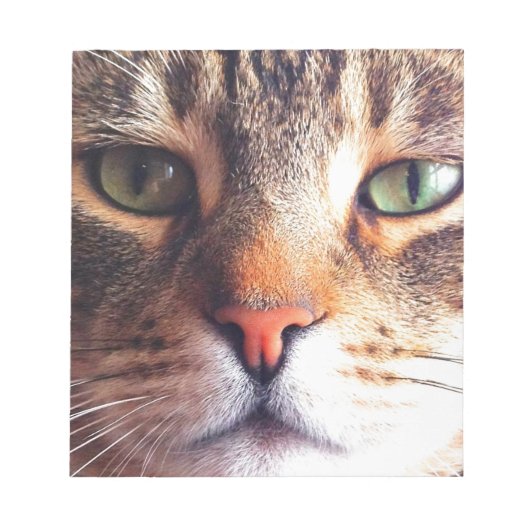 ネコ顔 ノートパッド (正面)