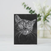 ネコ顔 ポストカード (スタンド正面)