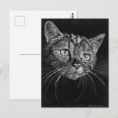 ネコ顔 ポストカード (正面/裏面)