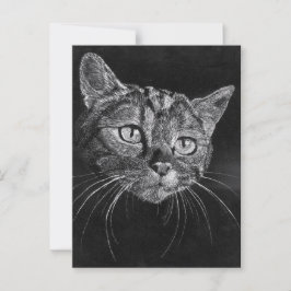 ネコ顔 ポストカード