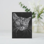 ネコ顔 ポストカード (スタンド正面)