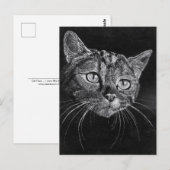 ネコ顔 ポストカード (正面/裏面)