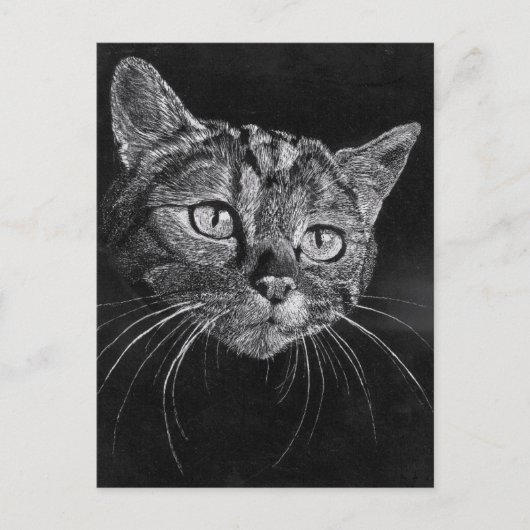 ネコ顔 ポストカード (正面)