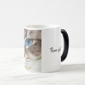 ネコ顔 |青い目 | purrr-fectionモーフィングマグ モーフィングマグカップ (正面右)