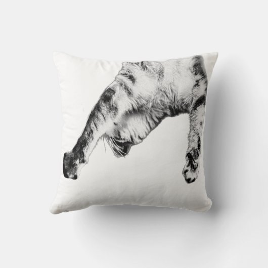 ネコ風 クッション (裏面)