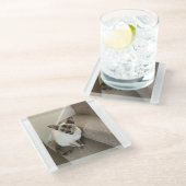 ネコ魔法 ガラスコースター (アングル)