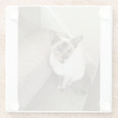 ネコ魔法 ガラスコースター (裏面)