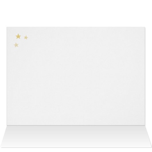 ネコ♓🐱 (内部横(上))