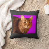 ネコ14枕 クッション (ブランケット)