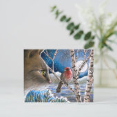 ネコ600鳥 ポストカード (スタンド正面)