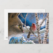 ネコ600鳥 ポストカード (正面/裏面)