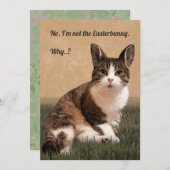 ネコ・イースターバニー🐰😸 シーズンカード (正面/裏面)