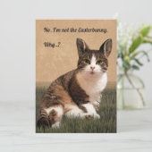 ネコ・イースターバニー🐰😸 シーズンカード (スタンド正面)