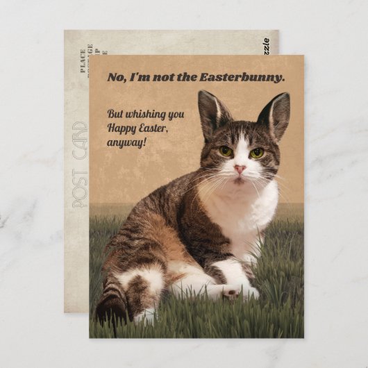 ネコ・イースターバニー😸🐰 ポストカード (正面/裏面)