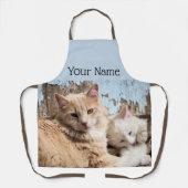 ネコ エプロン (正面)