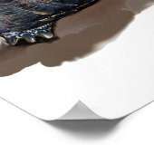 ネコ,カメ,バスケットボール ポスター (角)