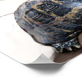 ネコ,カメ,バスケットボール ポスター (角)