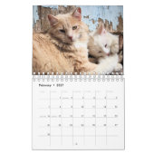 ネコ カレンダー (2月 2027)
