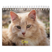 ネコ カレンダー (カバー)