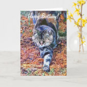 ネコ カード (黄色い花)