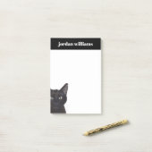 ネコ、ガスポートレート ポストイット (デスク上)