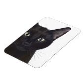 ネコ、ガスポートレート マグネット (左側)