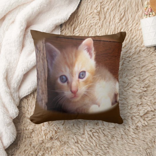 ネコ クッション (ブランケット)