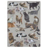 ネコ クリップボード (裏面)