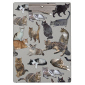 ネコ クリップボード (正面)