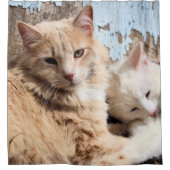 ネコ シャワーカーテン (正面)