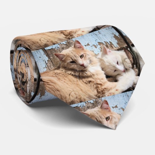 ネコ ネクタイ (ロール)