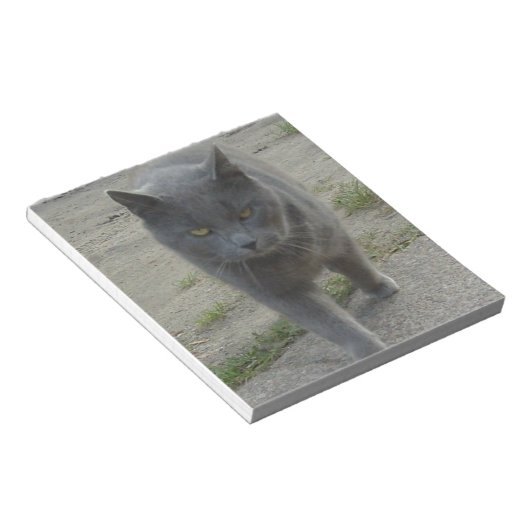 ネコ ノートパッド (アングル)