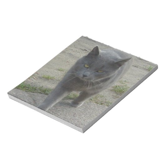 ネコ ノートパッド (回転)