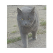 ネコ ノートパッド (正面)