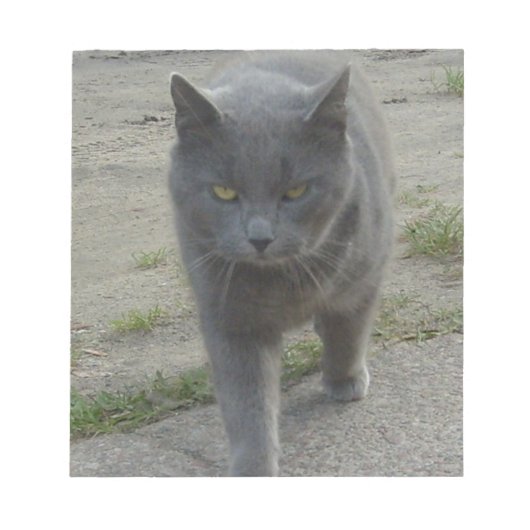 ネコ ノートパッド (正面)