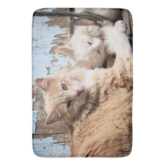 ネコ バスマット (正面縦)