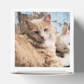 ネコ フェイバーボックス (上部)