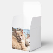 ネコ フェイバーボックス (オープン)