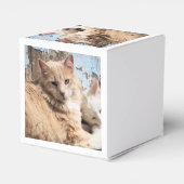 ネコ フェイバーボックス (裏面サイド)