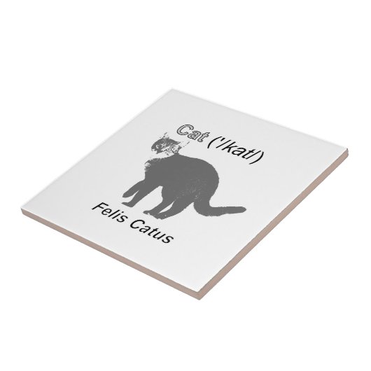 ネコ・フェリス・カタス タイル (側面)