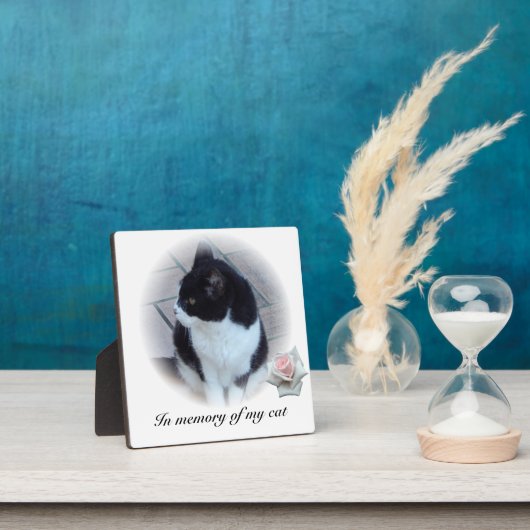 ネコ フォトプラーク (インサイチュ)