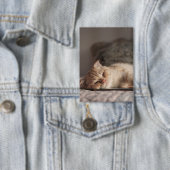 ネコ、ペット、子猫 缶バッジ (インサイチュ)