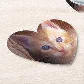 ネコ ペーパーコースター (アングル)