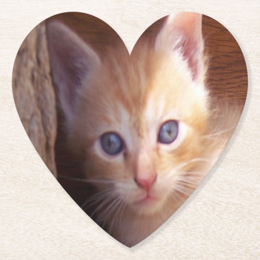 ネコ ペーパーコースター (正面)